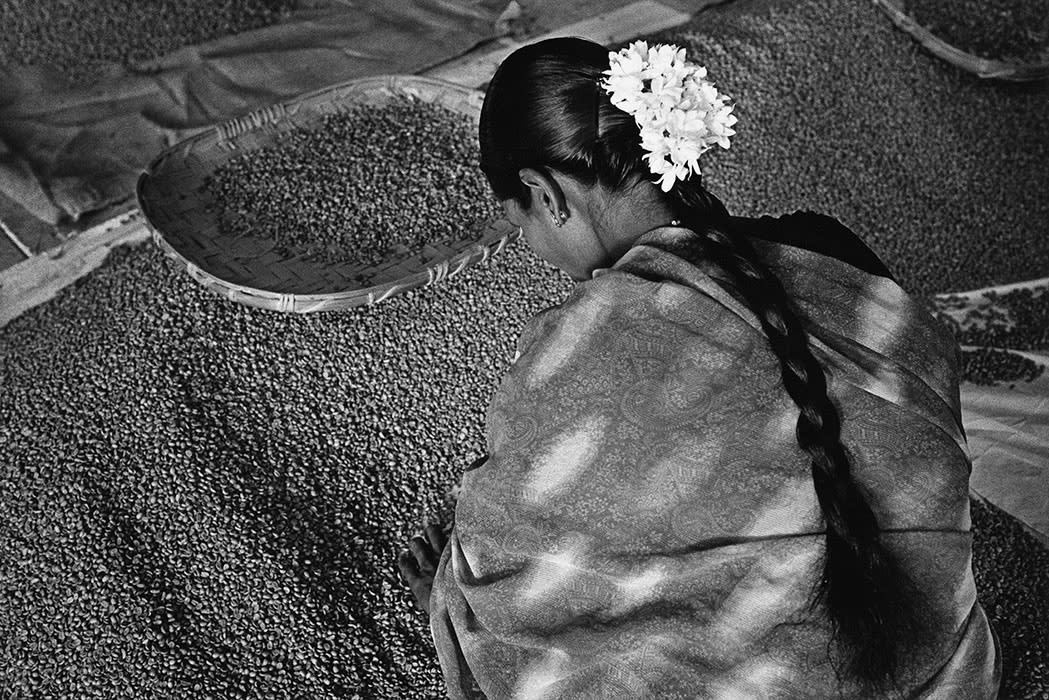 Indian Woman, 2003