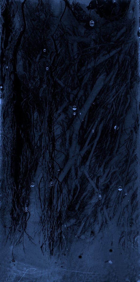 Mayumi Hosokura – Floaters