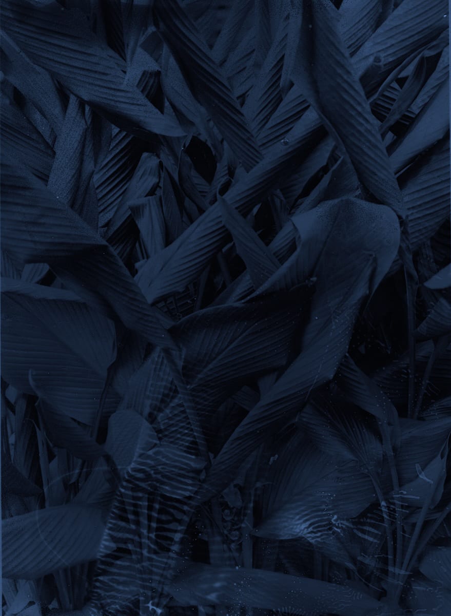 Mayumi Hosokura – Floaters