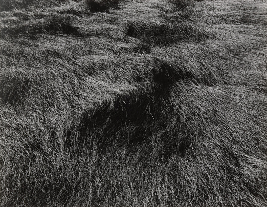 Horseneck Beach, Massachusetts, c. 1965