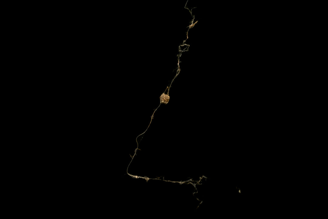 Eva Berler – Suspended Worlds