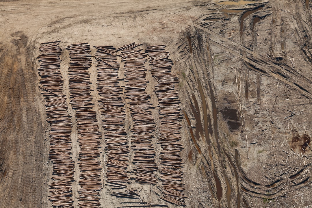 Felled Trees, Fort McMurray, Alberta, Canada, 2014 © Alan Gignoux