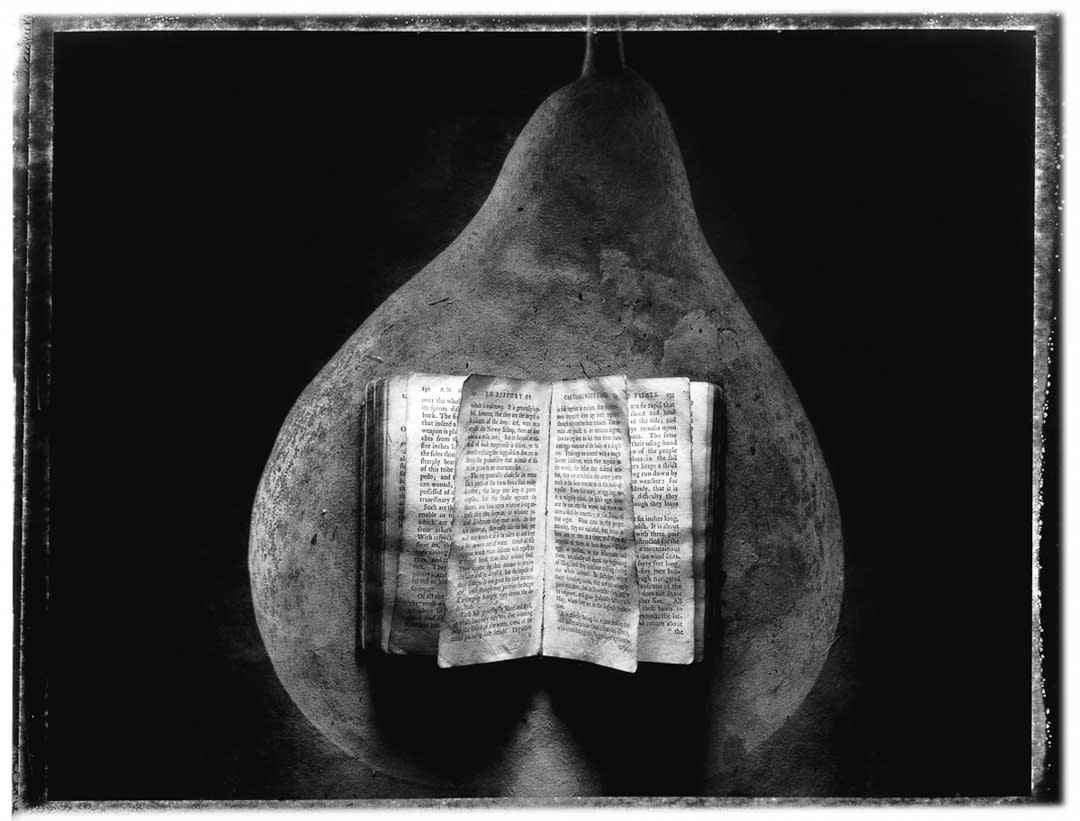 Pear in Book