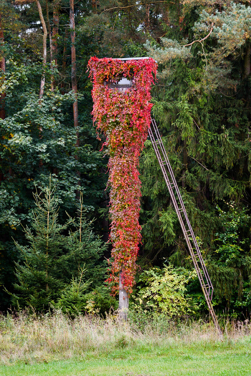 Polom, Czech Republic