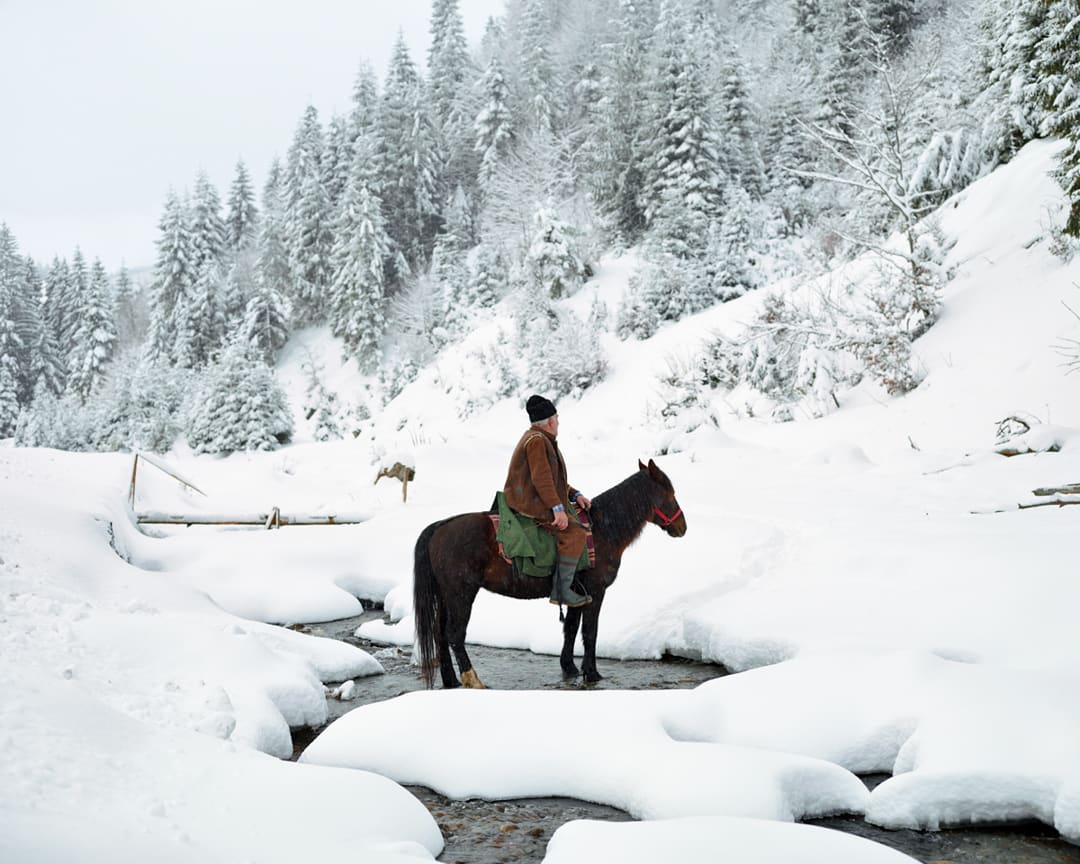 Shepherd (near Mediaș), 2013