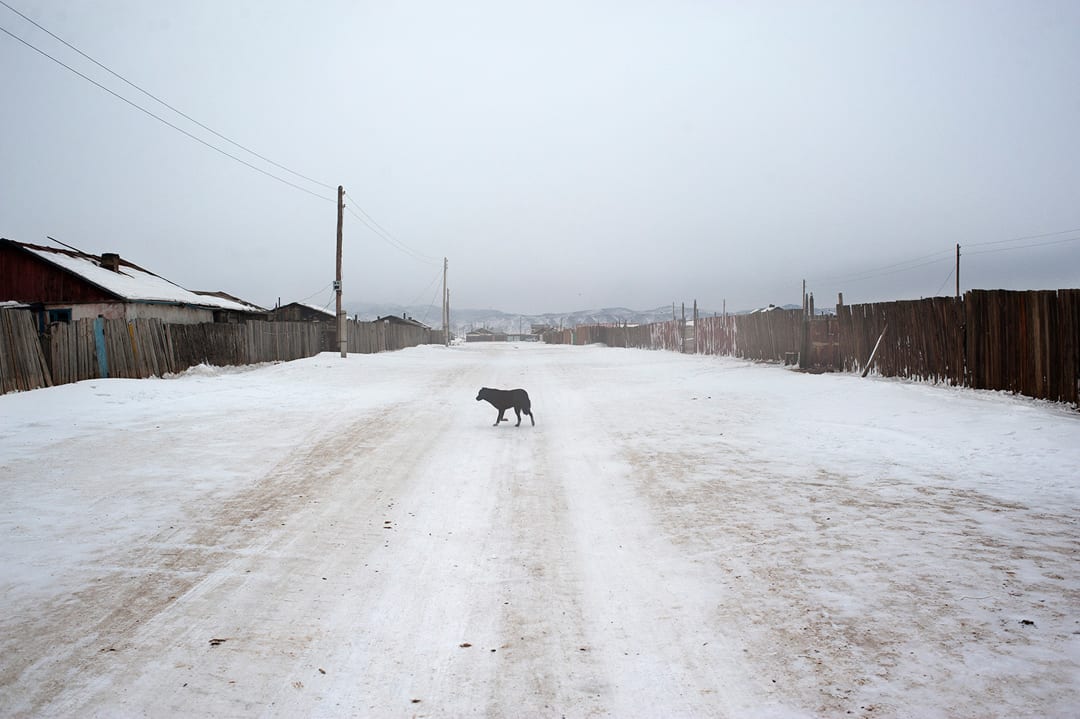 Mongolia, Arkhangai province. On the streets of Ulziit village.