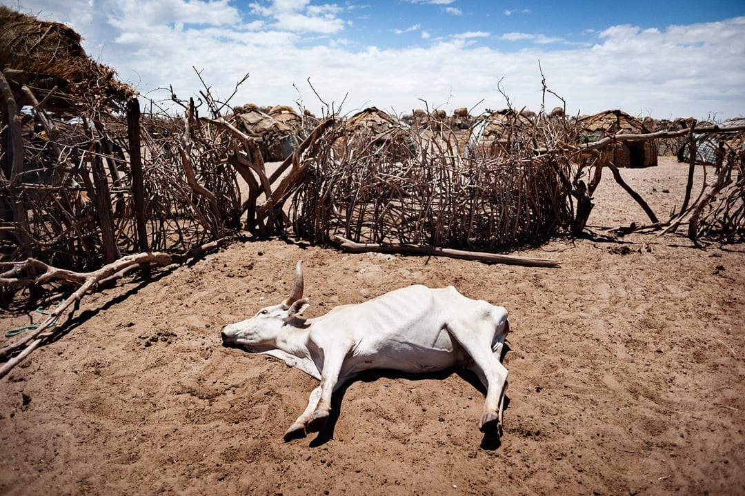 Ethiopia, Seis village, along the Kenyan-Ethiopian border. In the area where the Ethiopian Marille tribe lives, dozens of ...