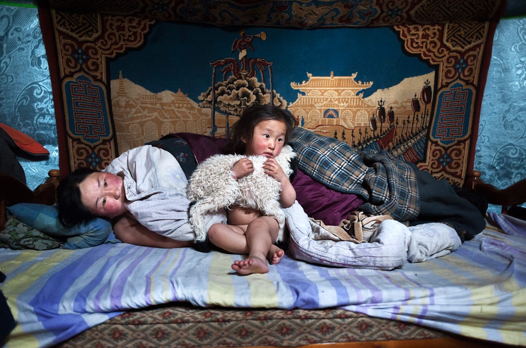 Mongolia. Arkhangay Province. Erdene Tuya and her son wake up in their ger (yurt), while her husband went out to check on ...