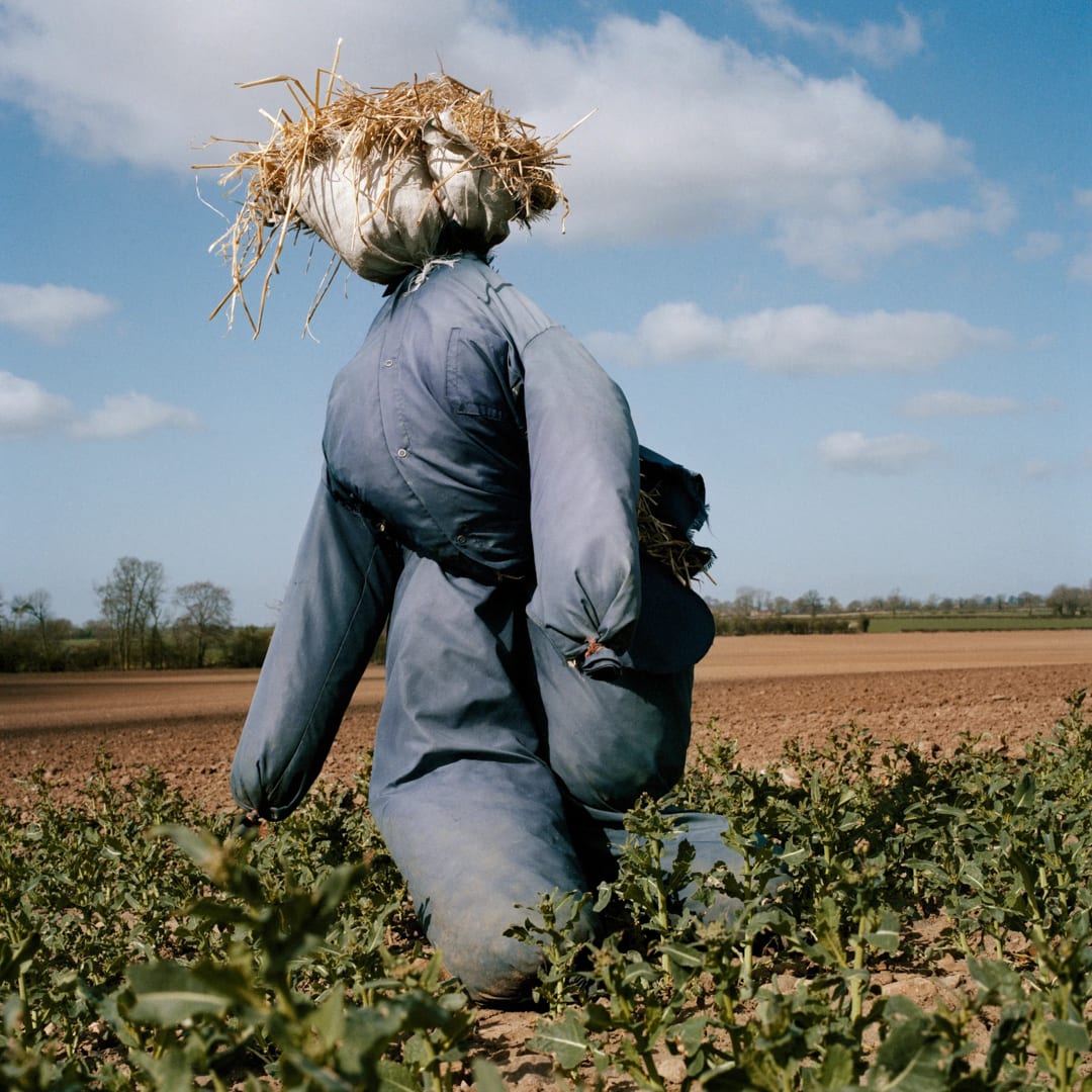 Peter Mitchell – Scarecrows