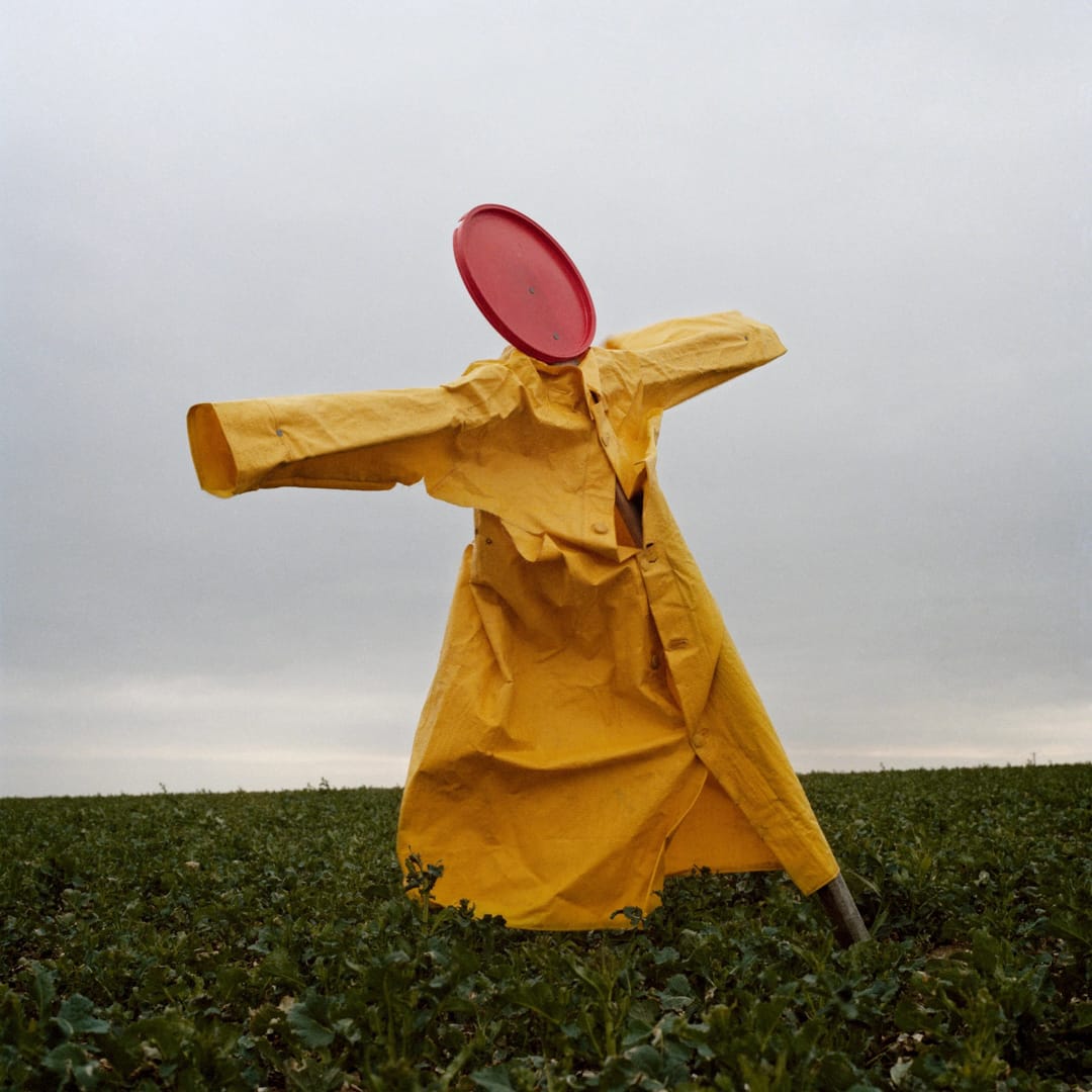 Peter Mitchell – Scarecrows