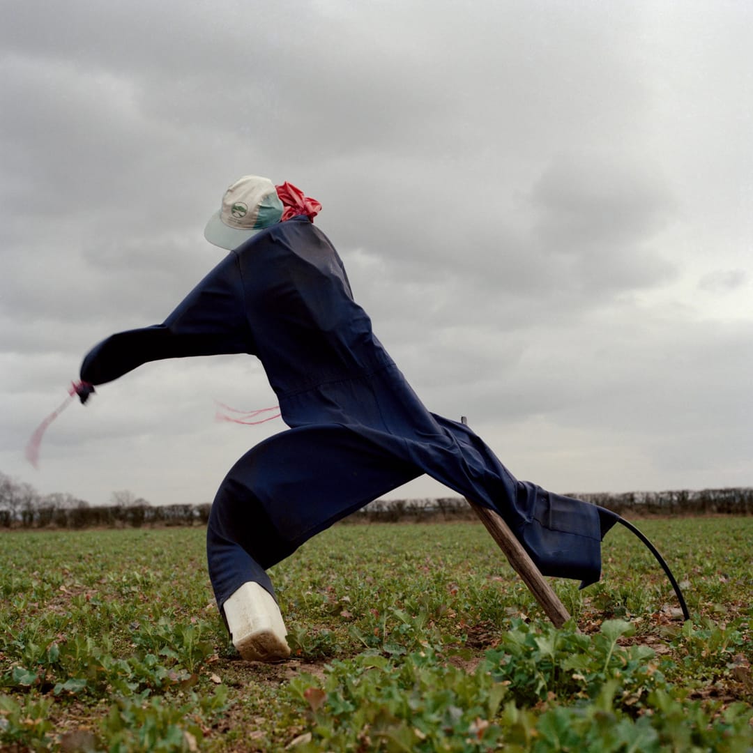 Peter Mitchell – Scarecrows