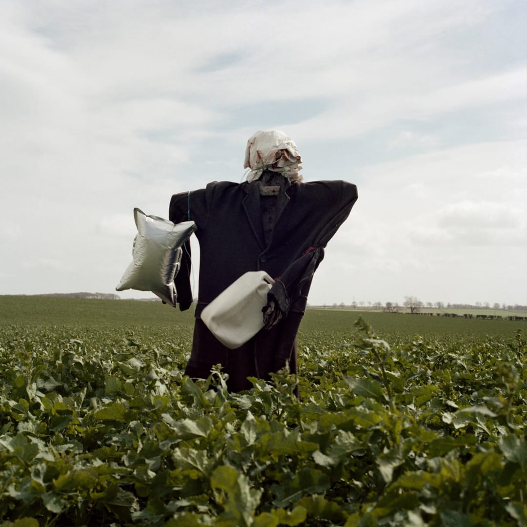 Peter Mitchell – Scarecrows