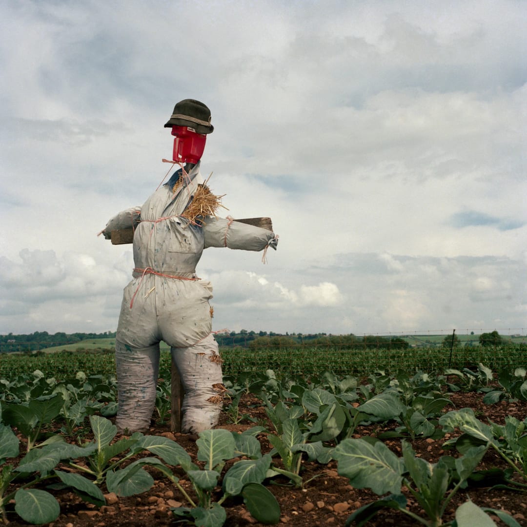 Peter Mitchell – Scarecrows