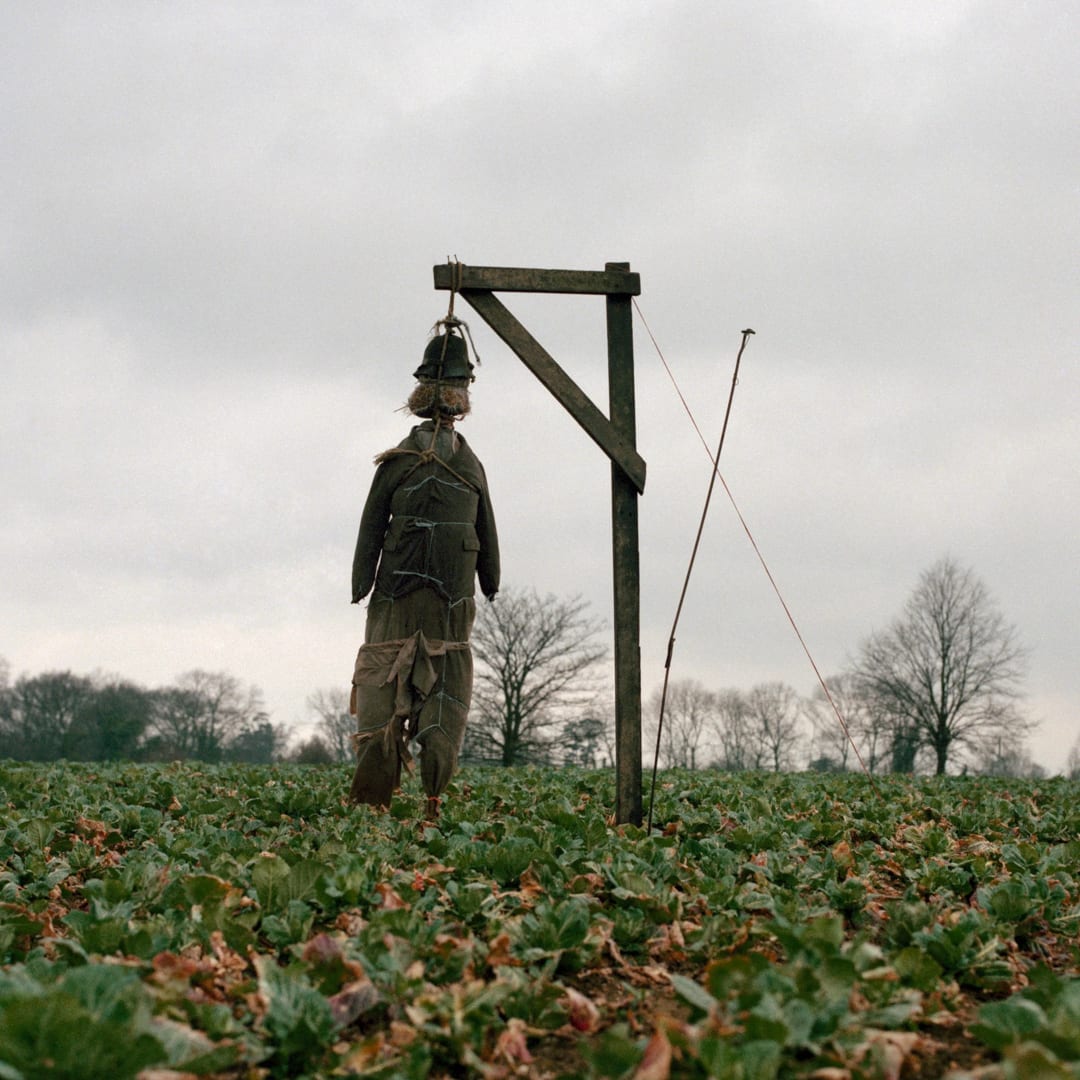 Peter Mitchell – Scarecrows