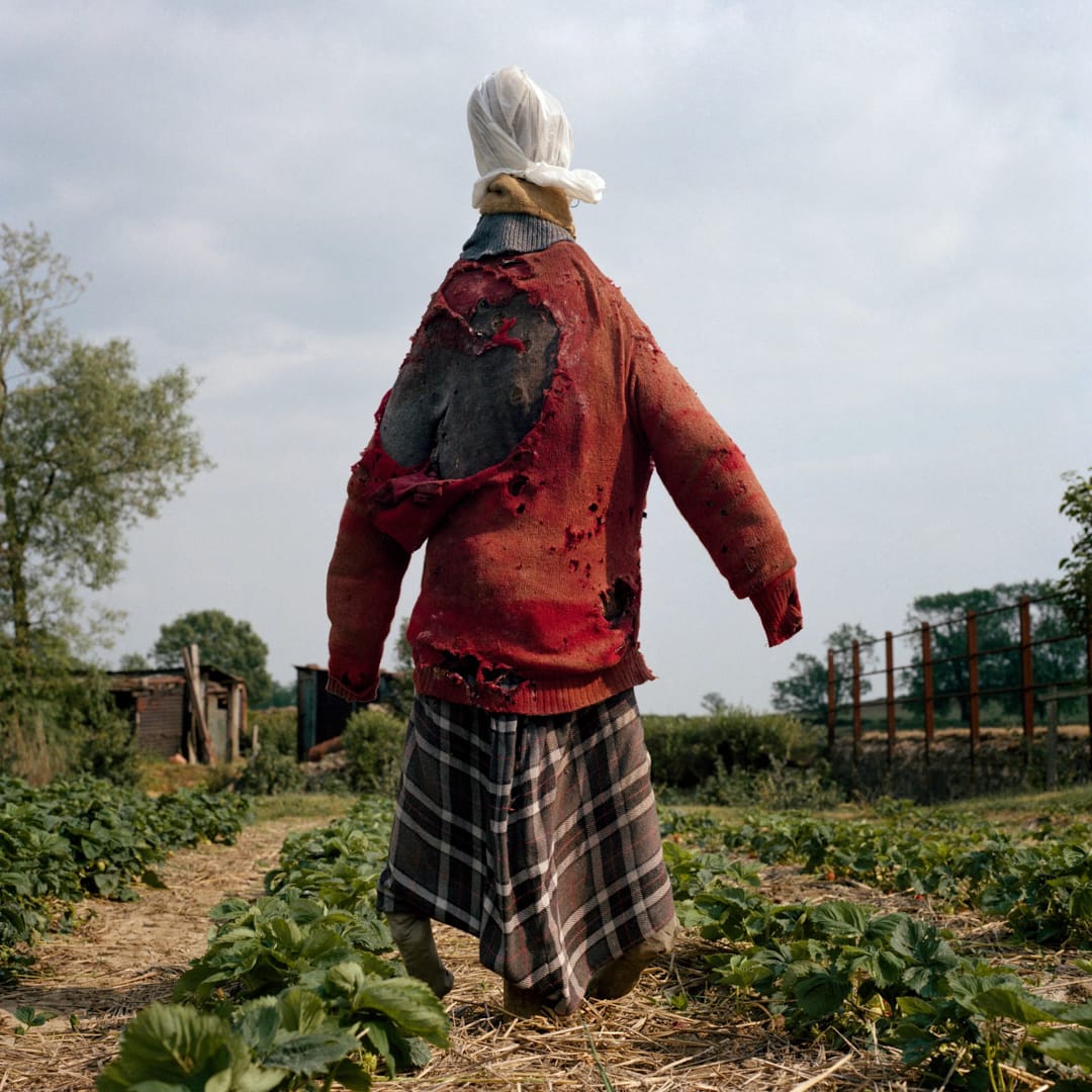 Peter Mitchell – Scarecrows