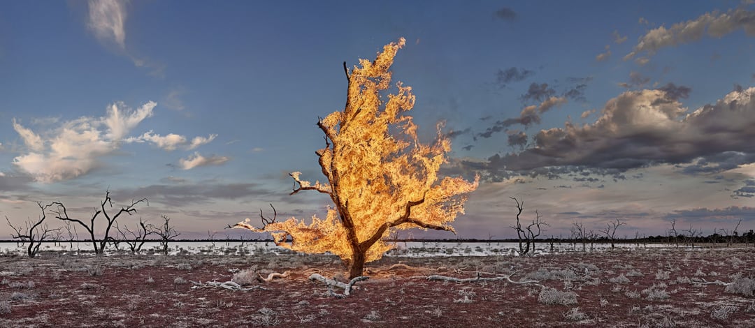 Murray Fredericks – Blaze