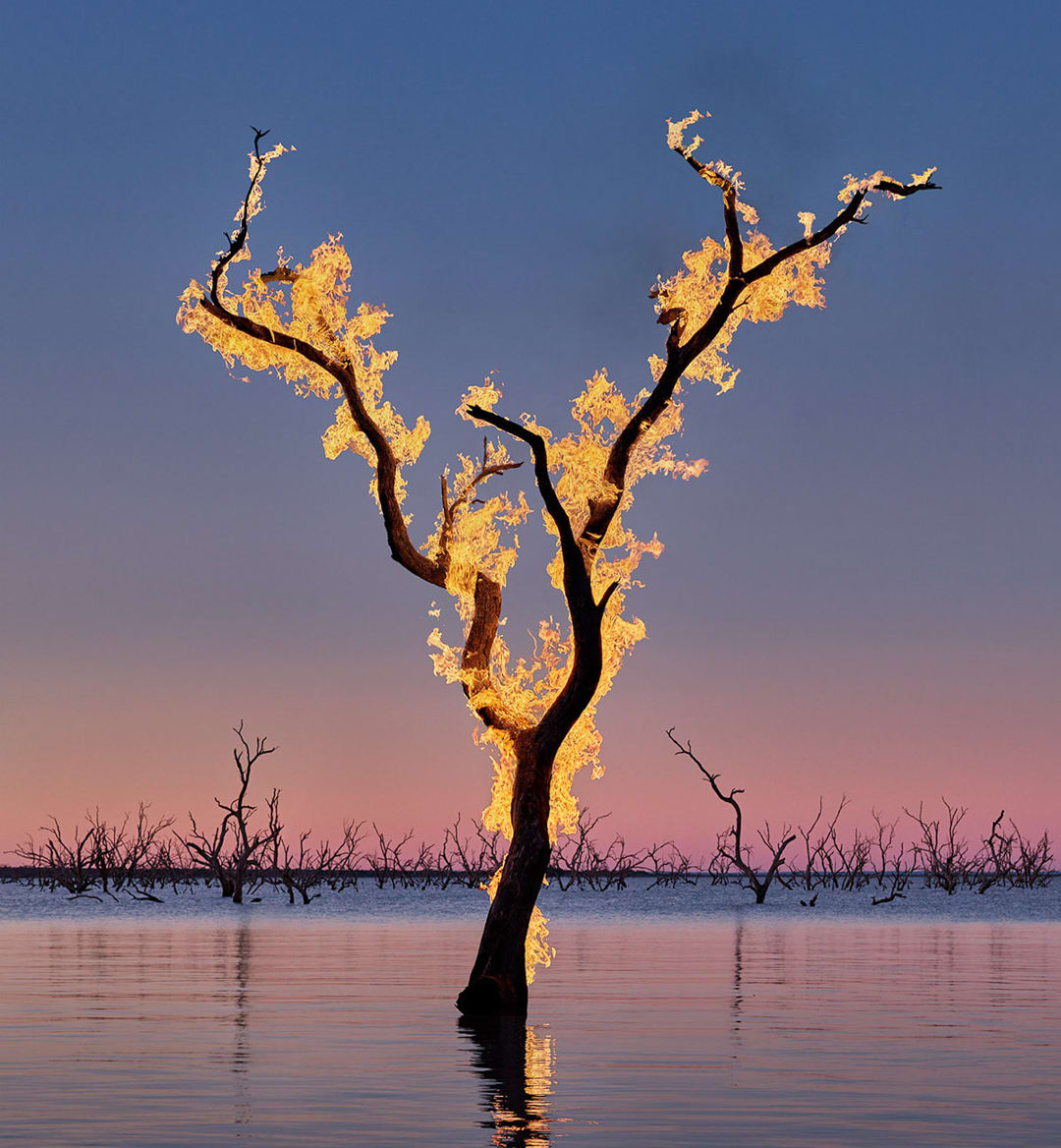 Murray Fredericks – Blaze