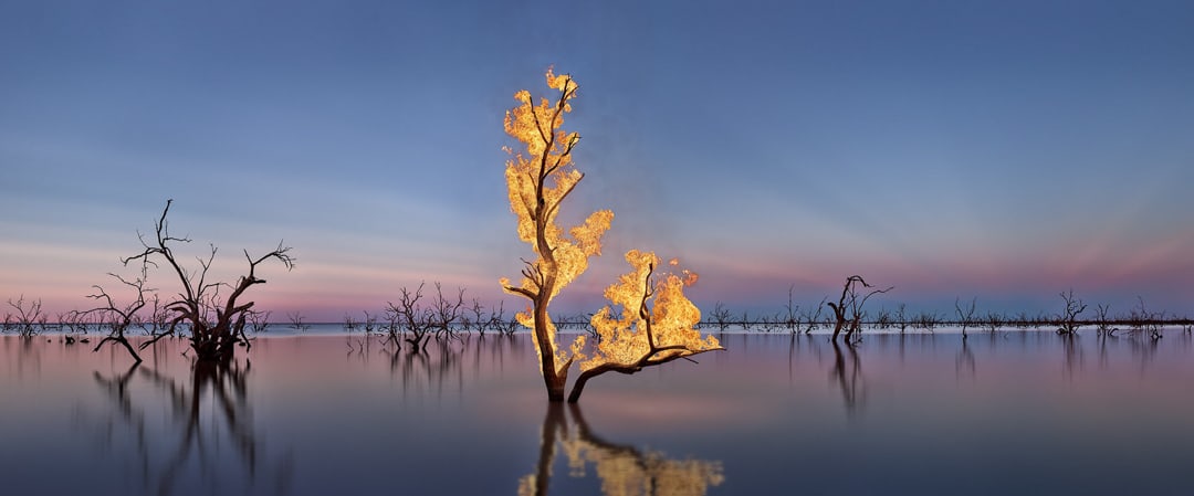 Murray Fredericks – Blaze