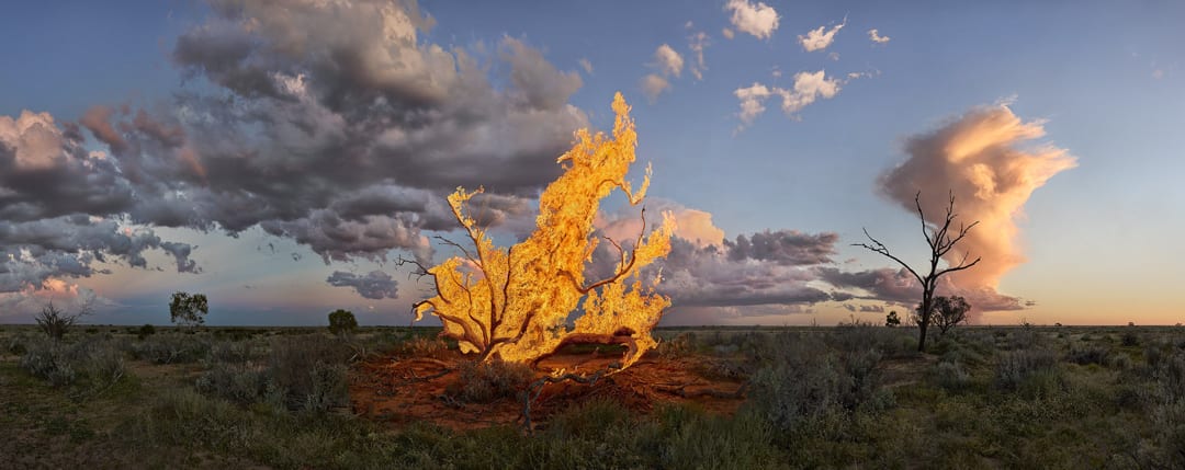 Murray Fredericks – Blaze