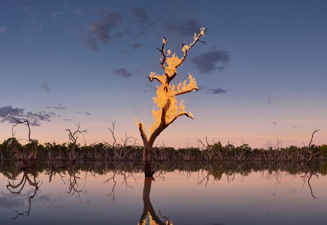 Murray Fredericks – Blaze