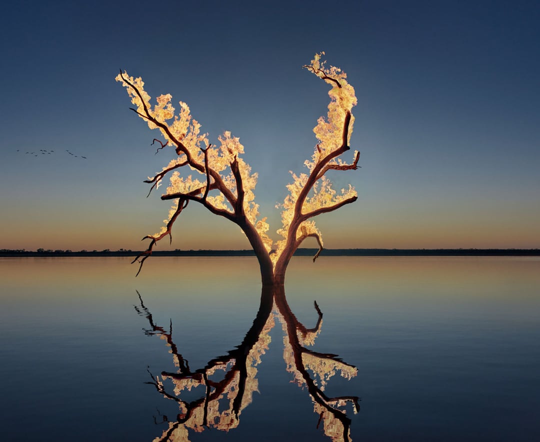 Murray Fredericks – Blaze