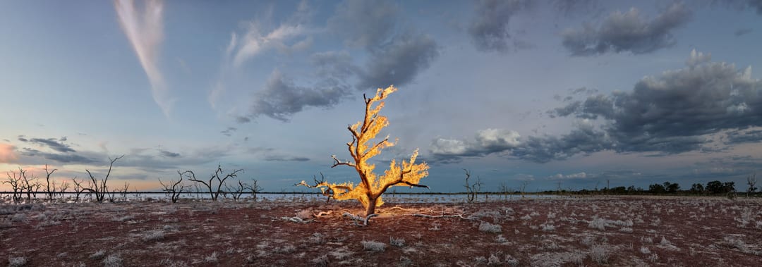 Murray Fredericks – Blaze