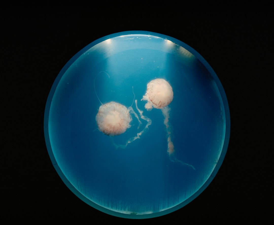 Quancheng Ocean Polar World. China