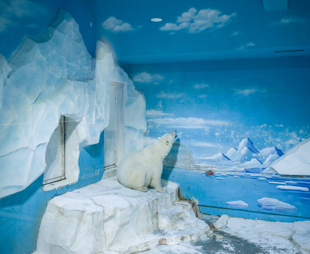 Dalian Forest Zoo. China