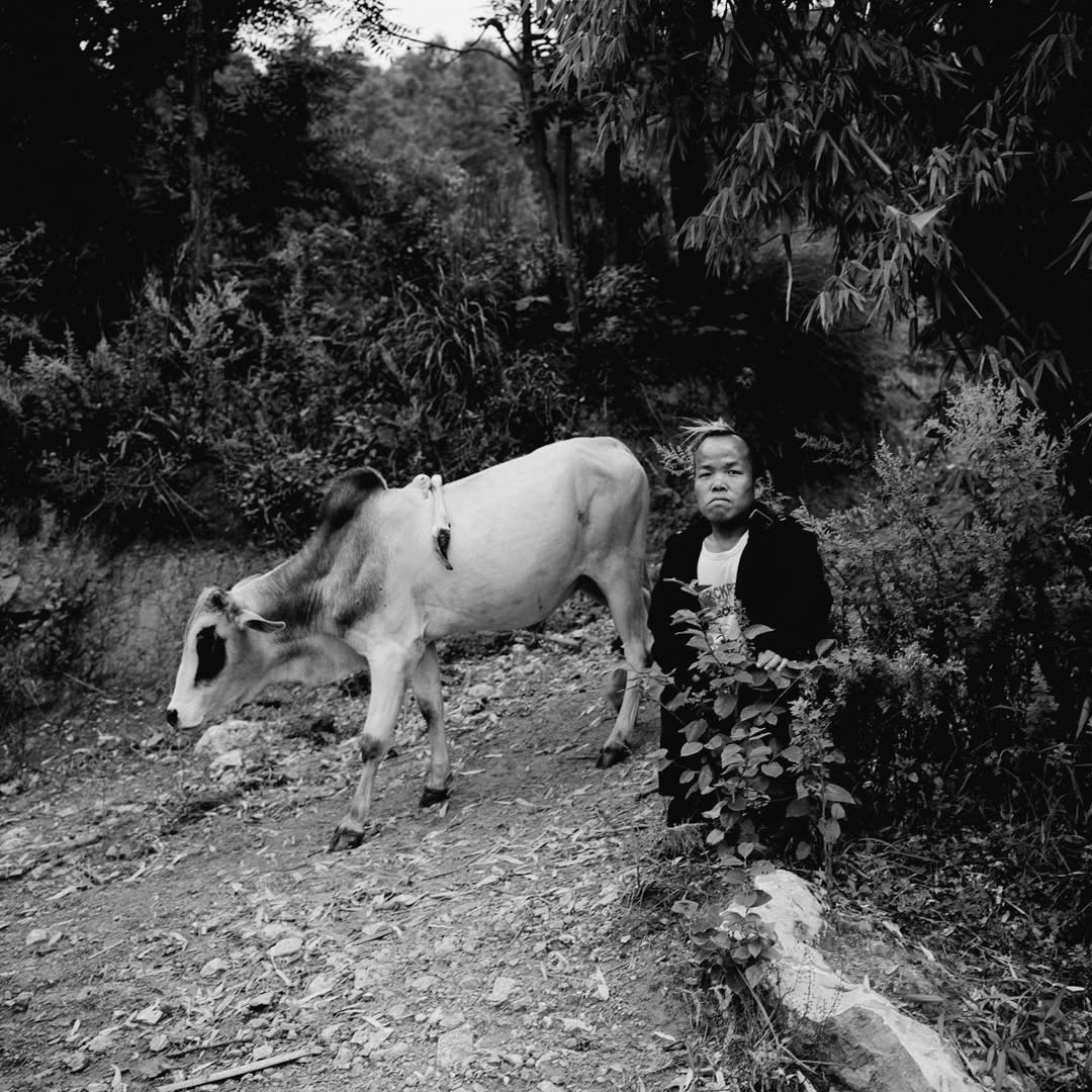 Cow and the cowherd.
Kunming, Yunnan
2011-2012
