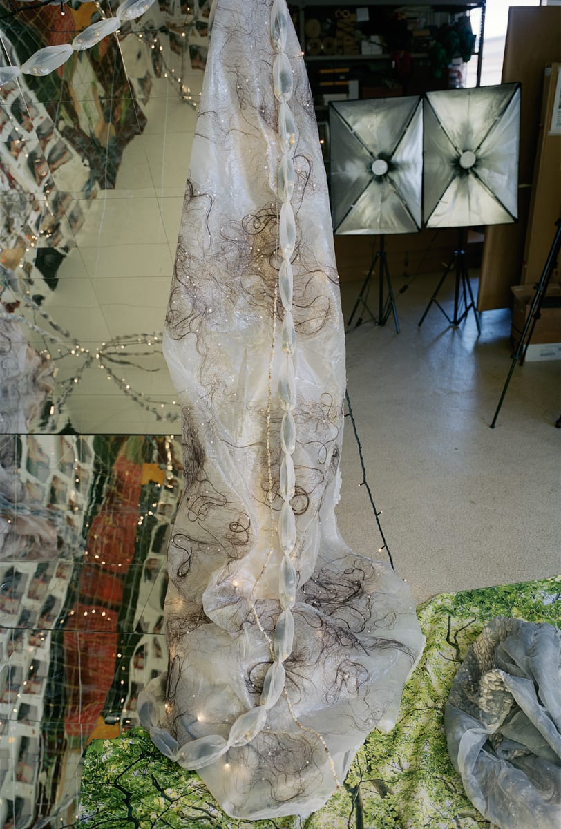 tree of life #025, 2025 ©Mari Katayama, Courtesy of Galerie Suzanne Tarasieve, Paris and Yutaka Kikutake Gallery, Mari Kat...