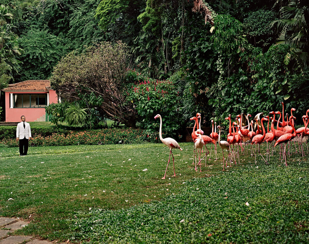 Edgar Peixoto (49 years old): My dream is to see my children graduated. I started to work when I was 8.