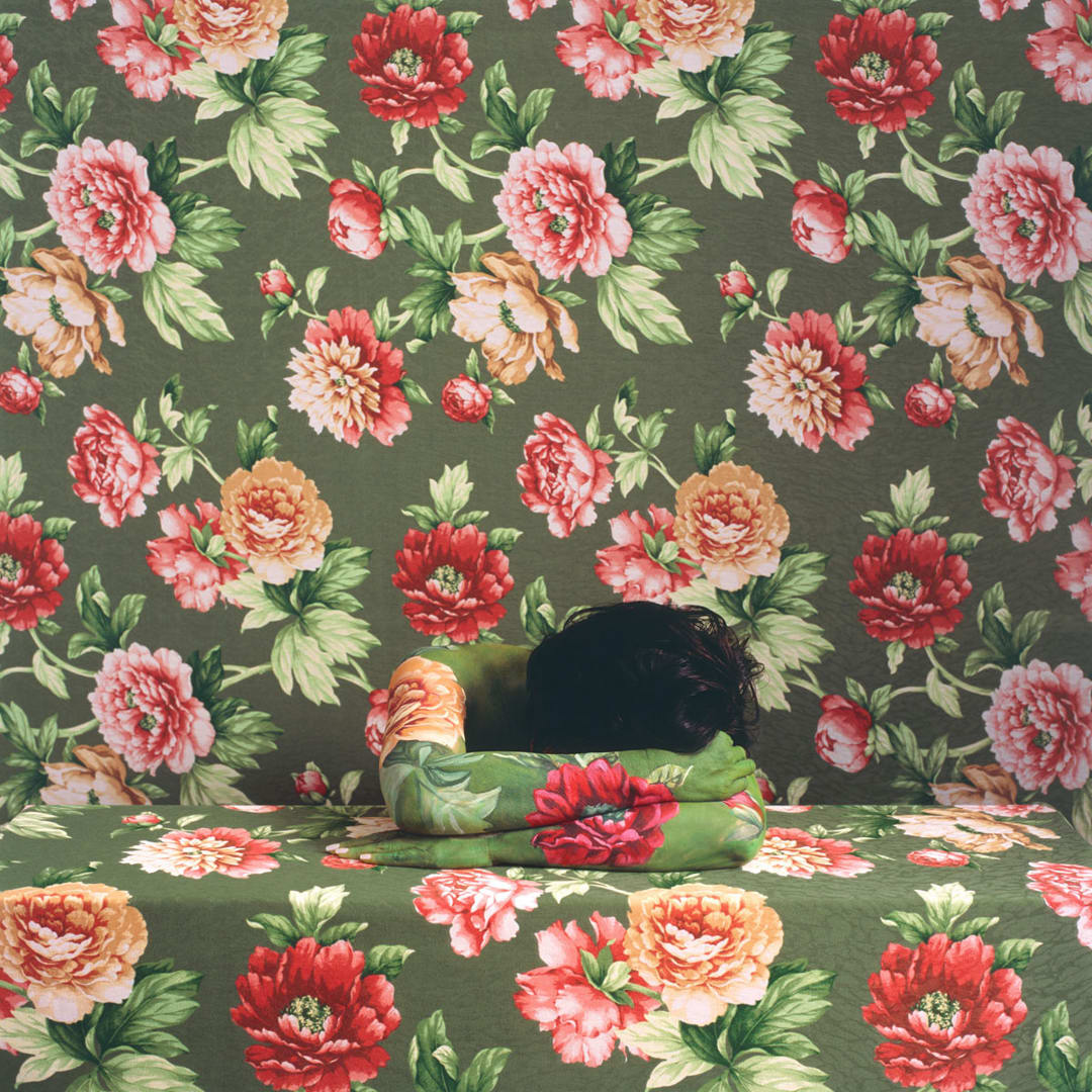 Dreaming Rose