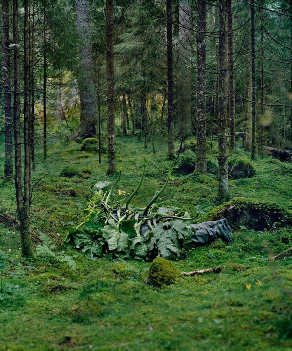 Anne Margit, Norway 2023