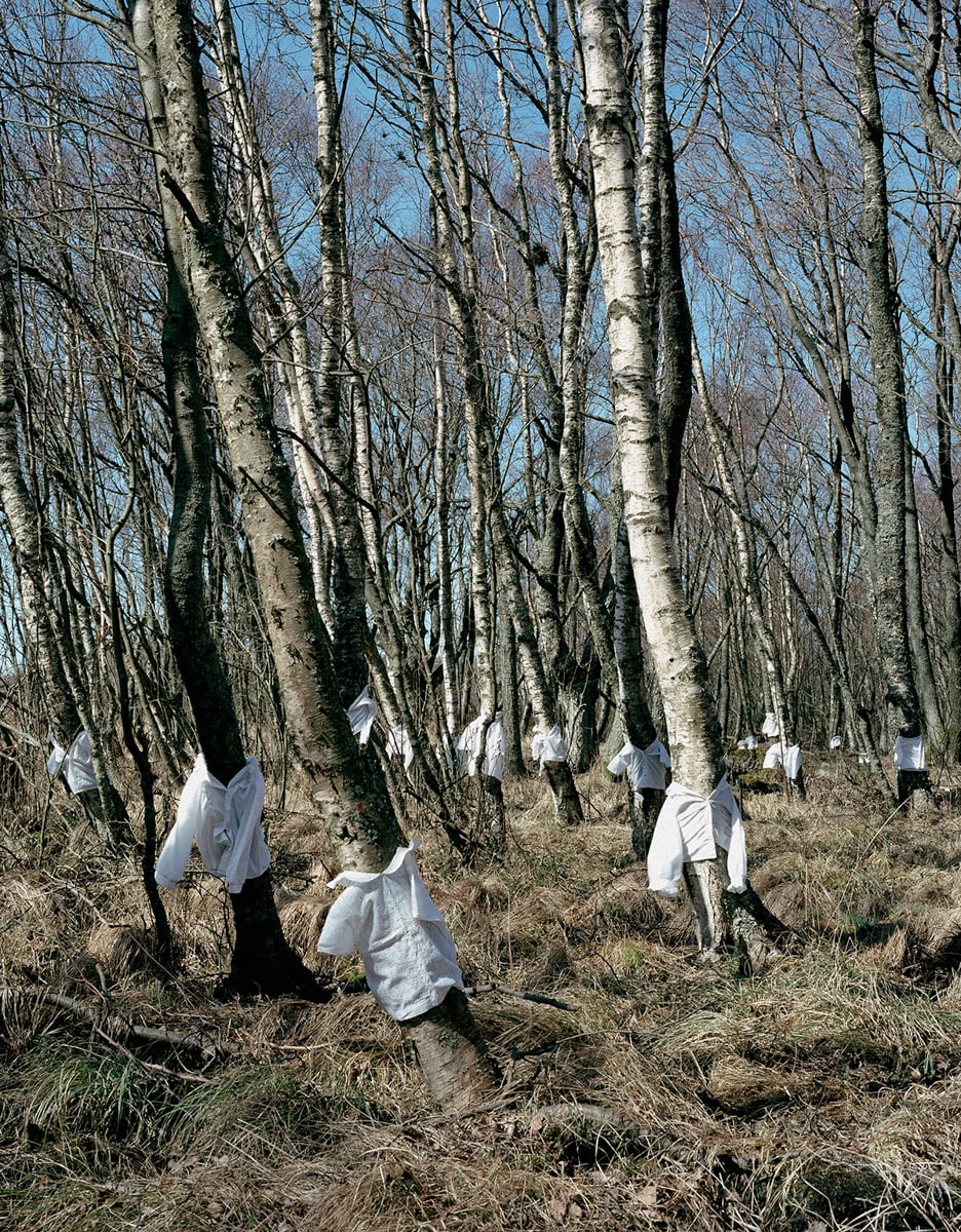 Forest, 2000