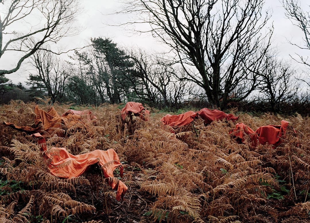 Untitled Ravenglass part A, 2000