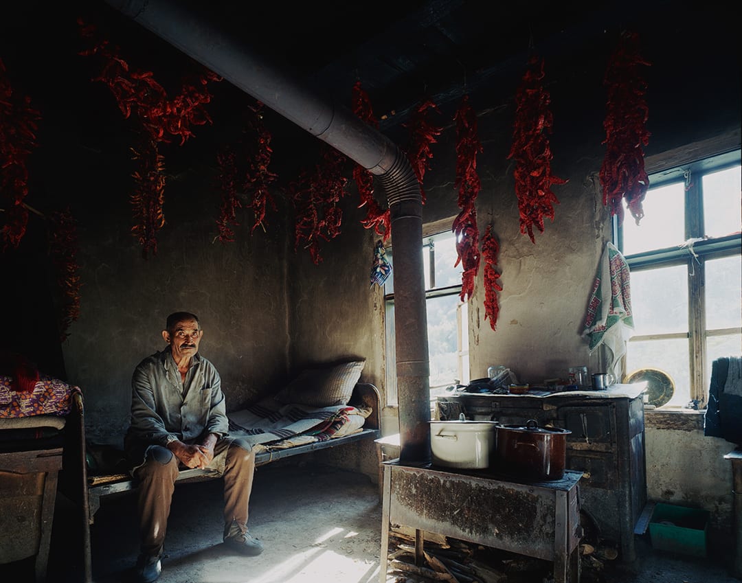 Bert Teunissen – Domestic Landscapes