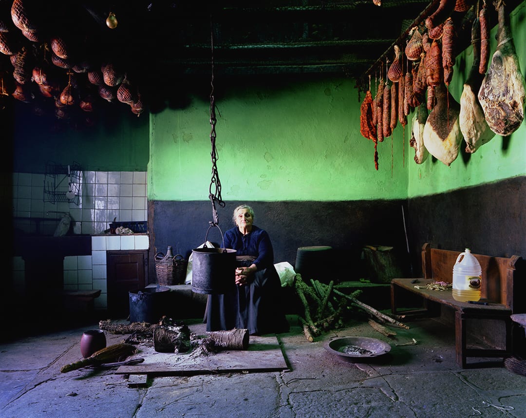 Bert Teunissen – Domestic Landscapes
