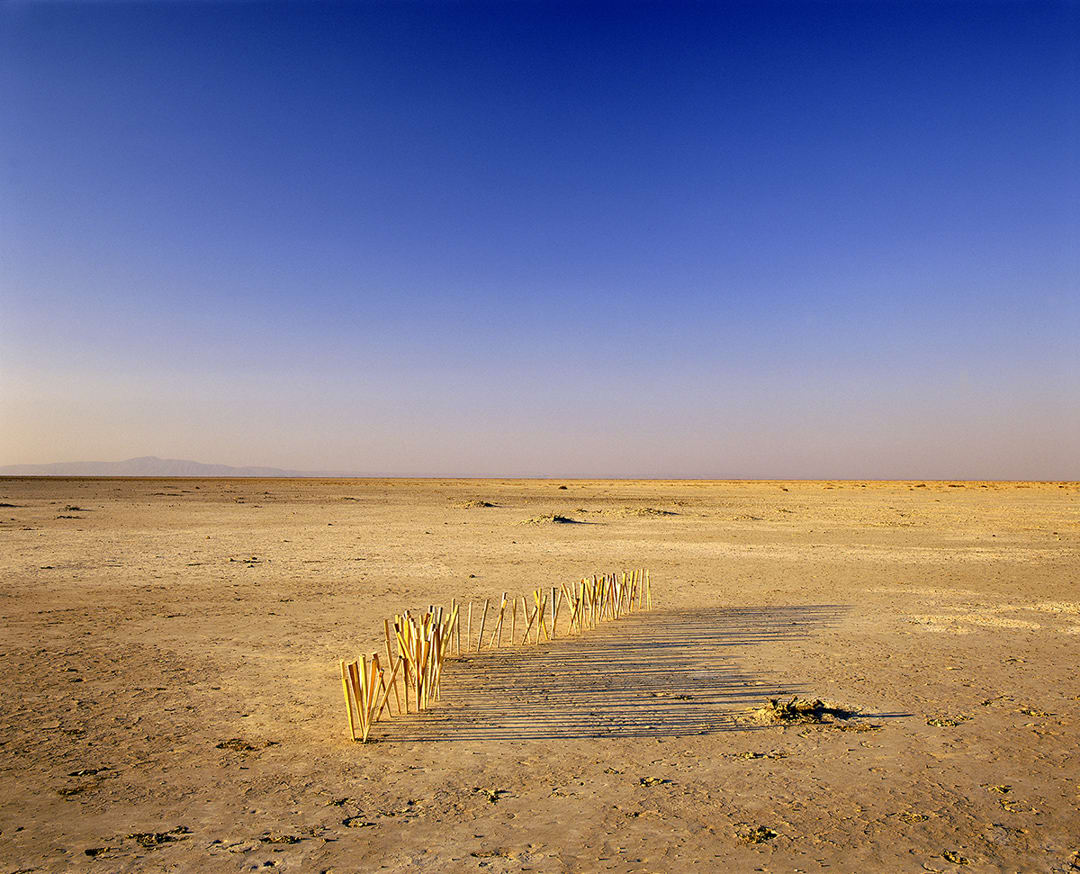 Centipede, 2001