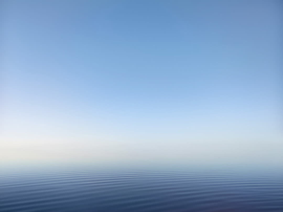 Salt #271