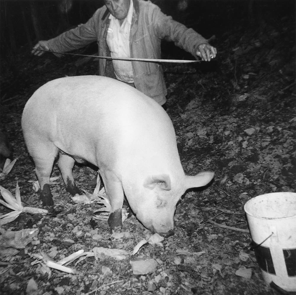 My daddy is measuring our hog. Photograph by Joy Ingram in collaboration with Wendy Ewald.