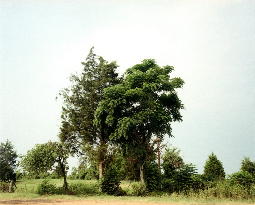 Site of Palmist Building, Havana Junction, Alabama, 1988