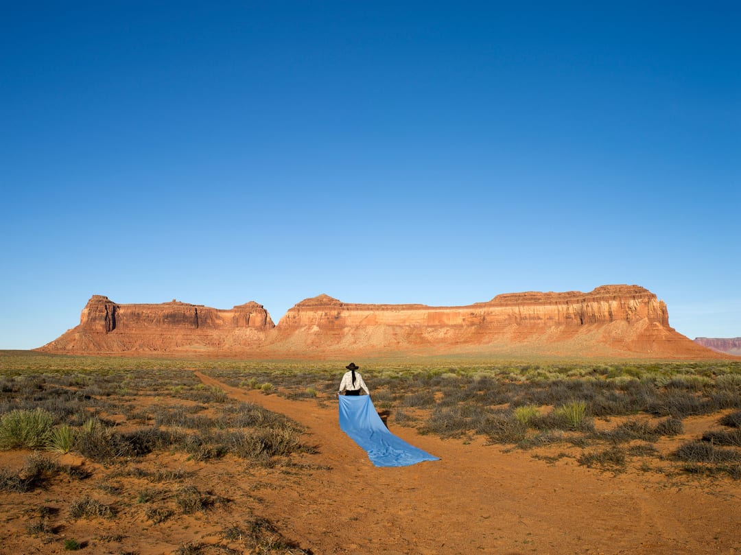 The Heeler, Arizona Desert, 2016