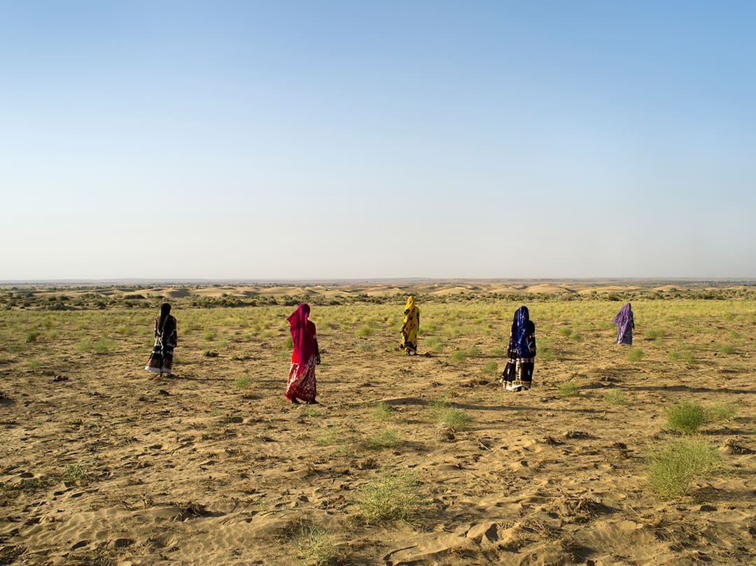 Gypsies, Thar Desert, 2014