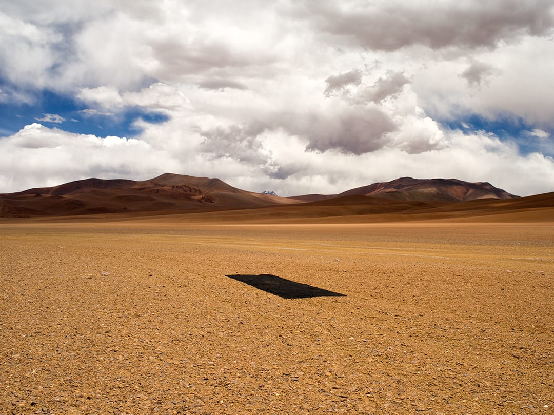 Ash Carpet, Atacama Desert, 2014