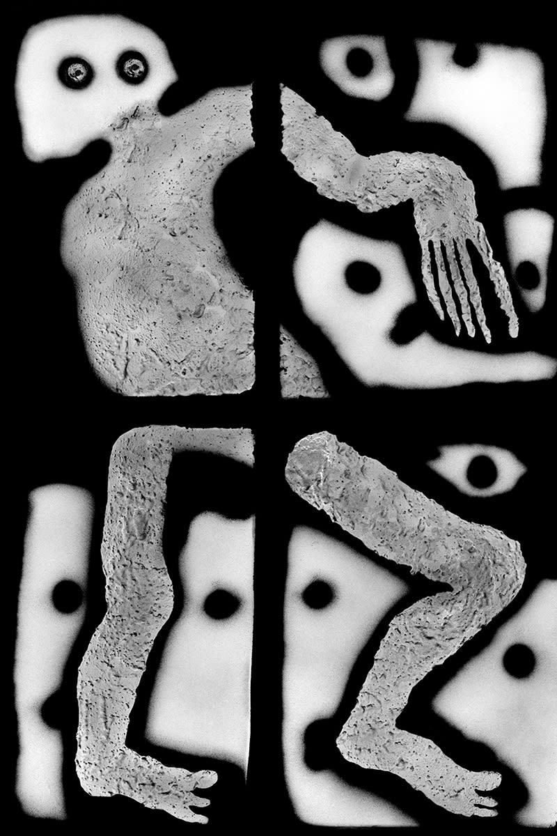 Giant _2013