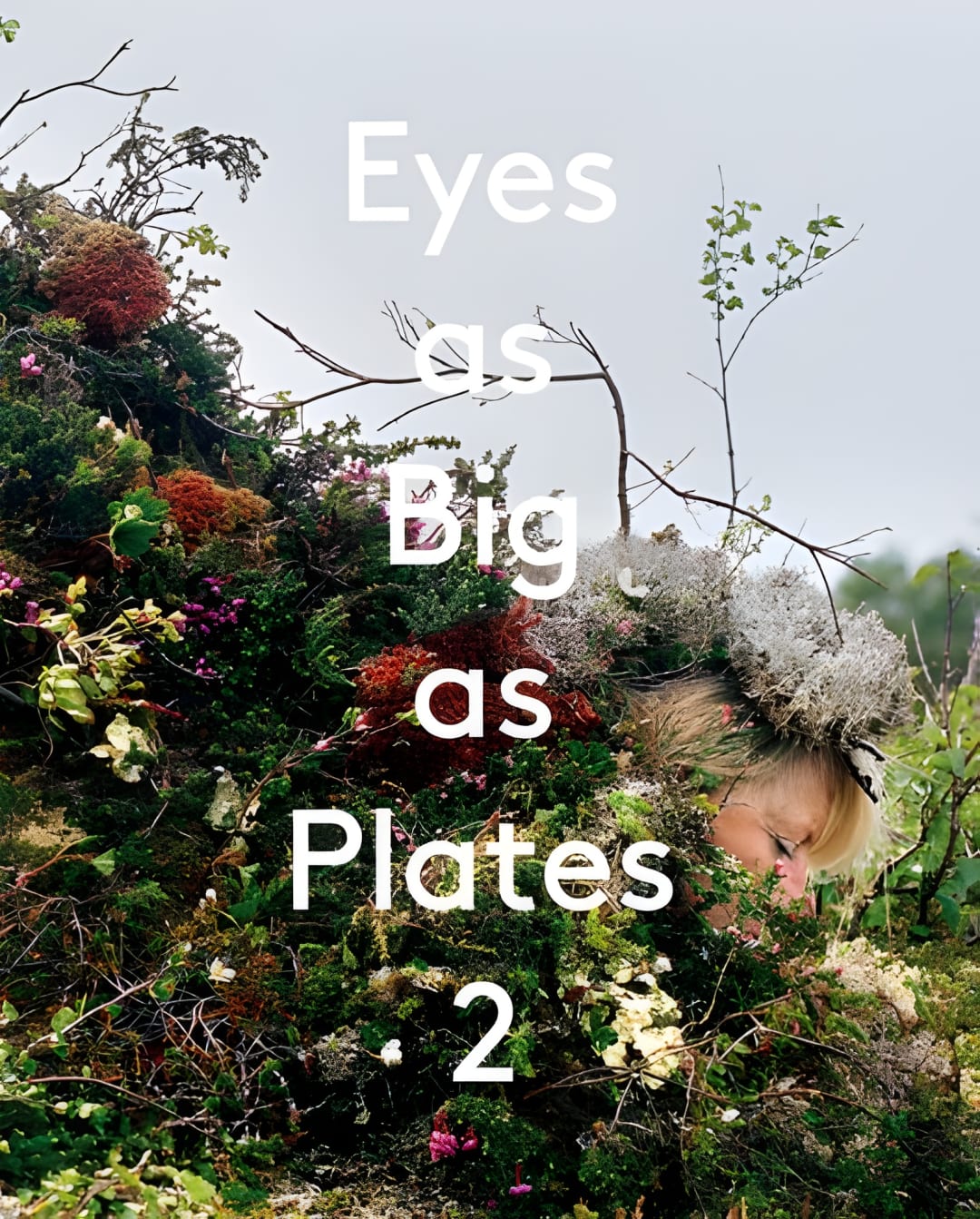 upscaled cover image 9783897906433