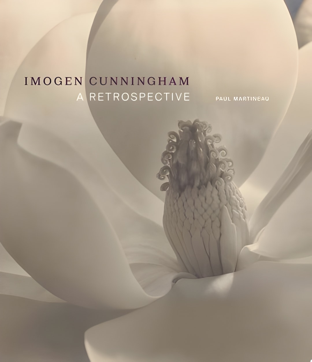 upscaled cover image 9781606066751