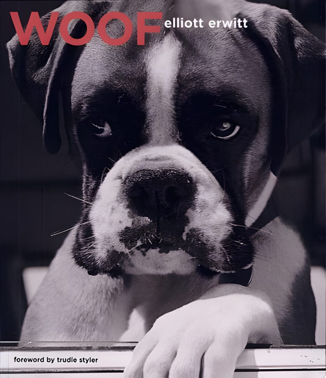 upscaled cover image undefined