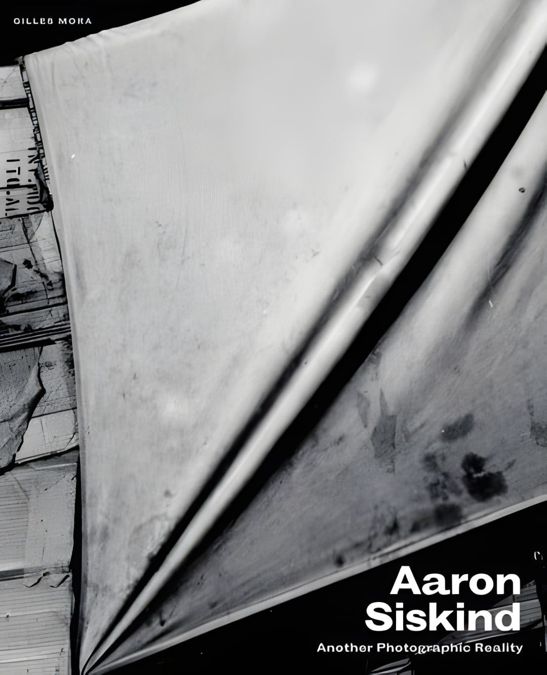 upscaled cover image 9780292762916
