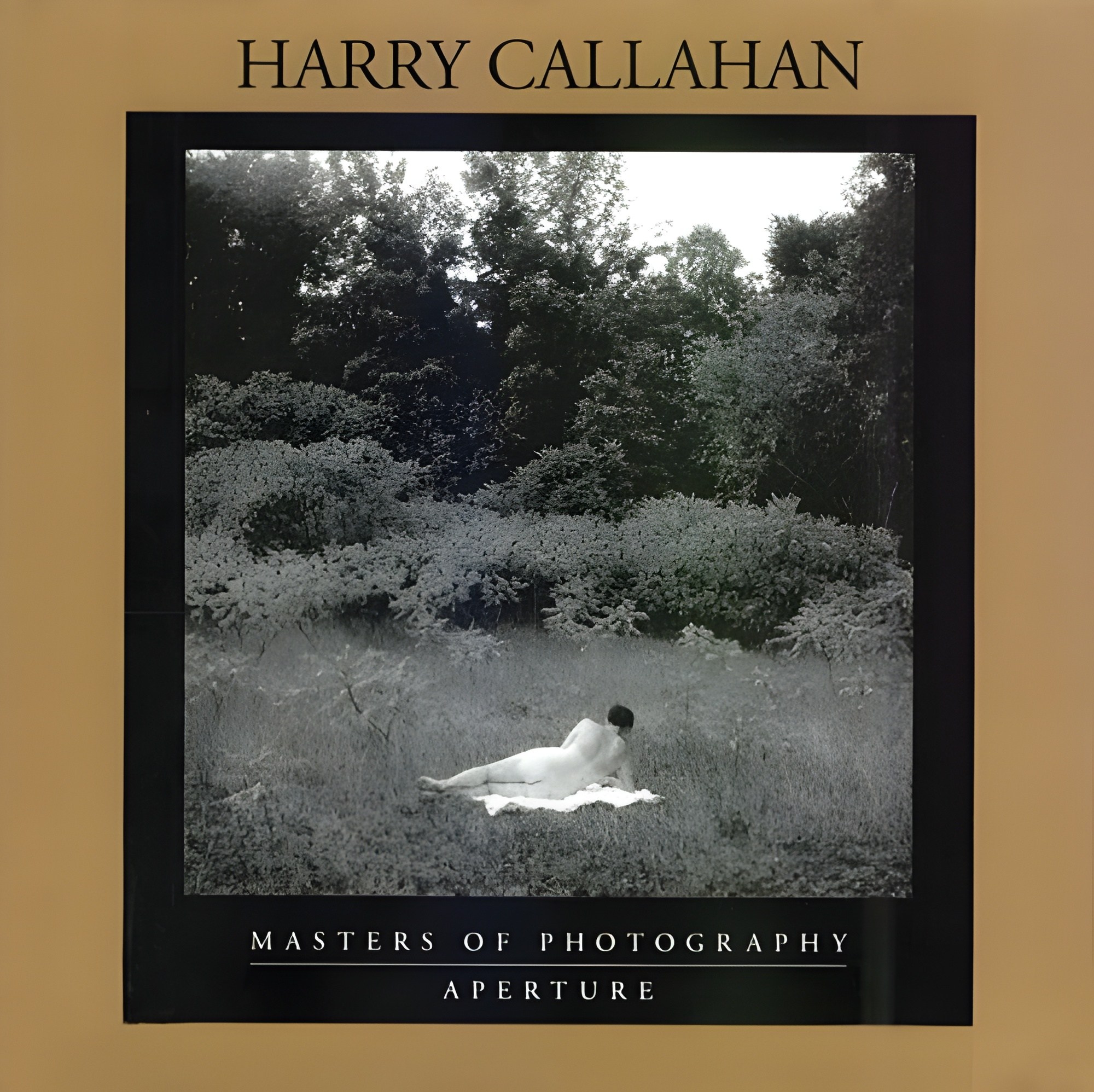Harry Callahan Eleanor 写真集 古書古本 Totodo: Harry Callahan: Eleanor (ハリー・キャラハン. High
